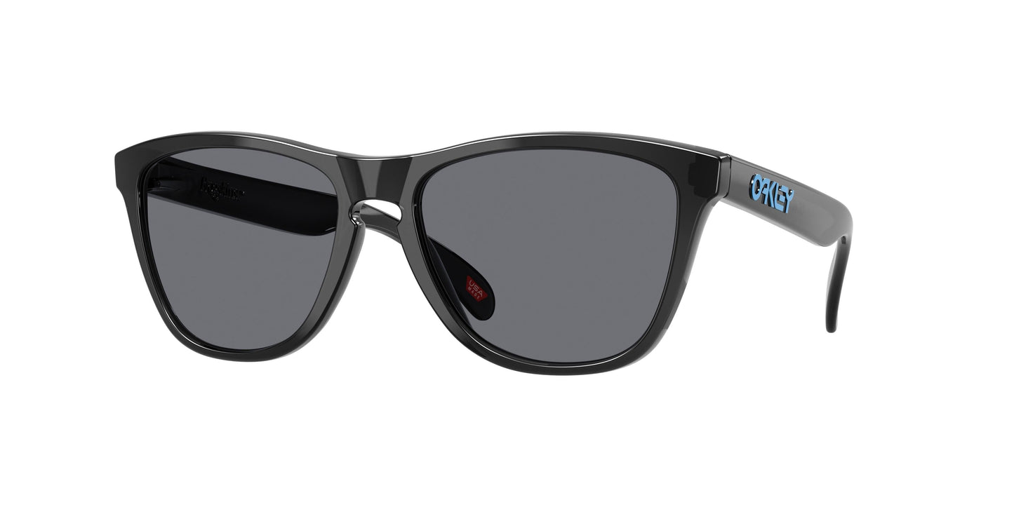 Oaakley Frogskins 9013 Sunglasses