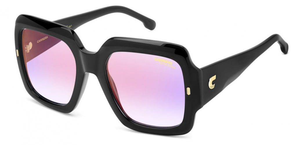 Carreera 3004 Sunglasses