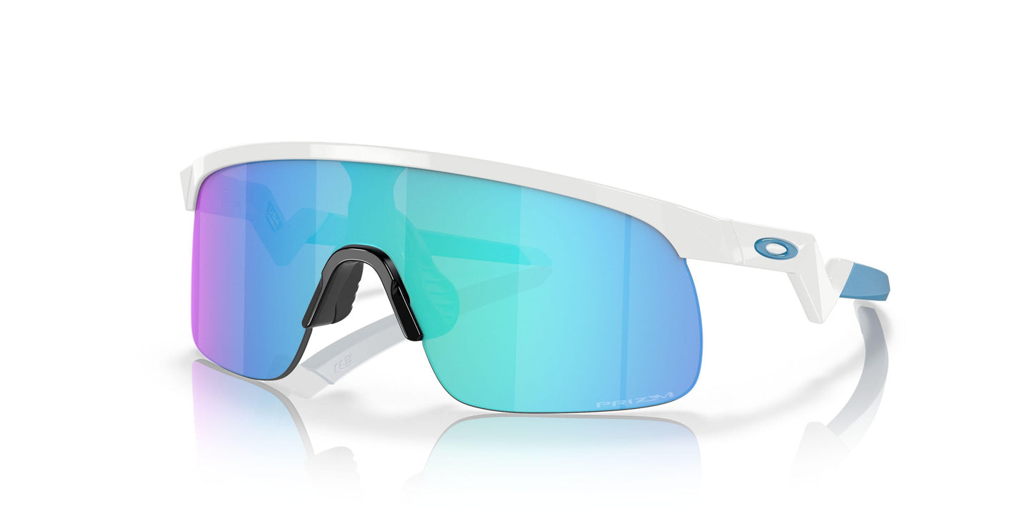 Oaakley Resistor 9010 Sunglasses
