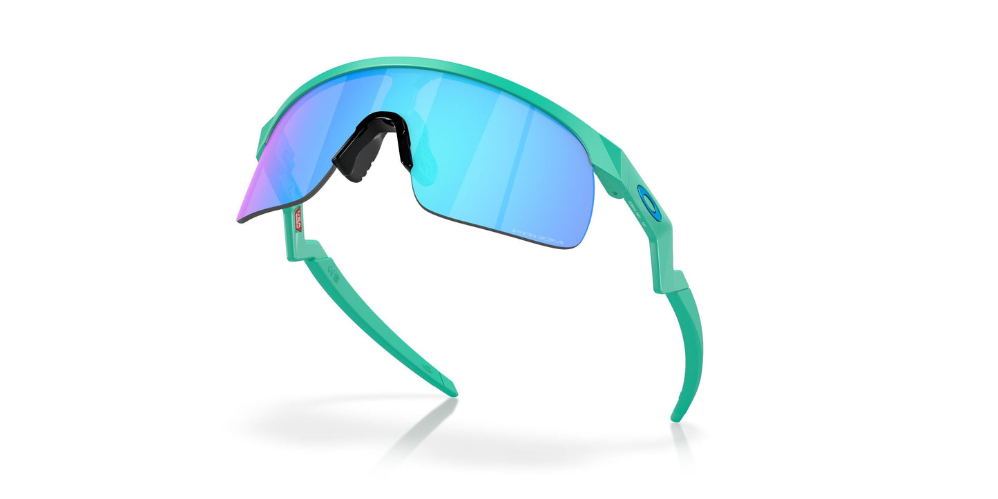 Oaakley Resistor 9010 Sunglasses