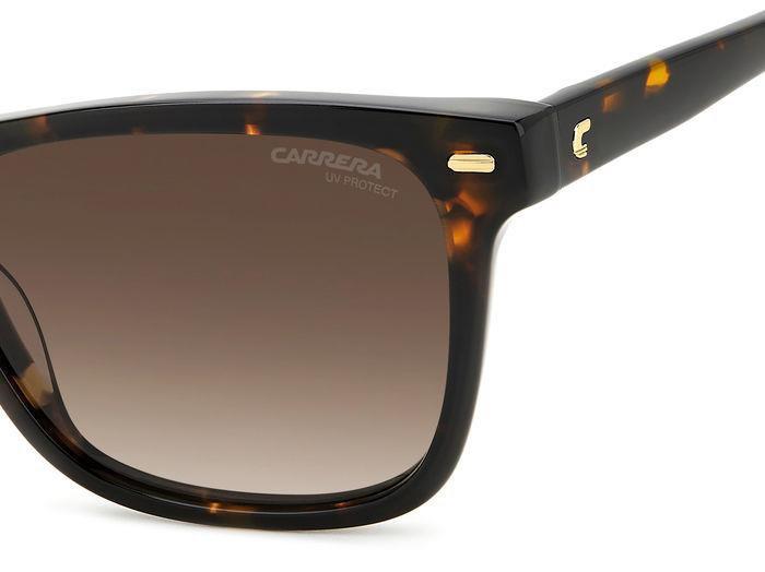 Carreera 3001 Sunglasses