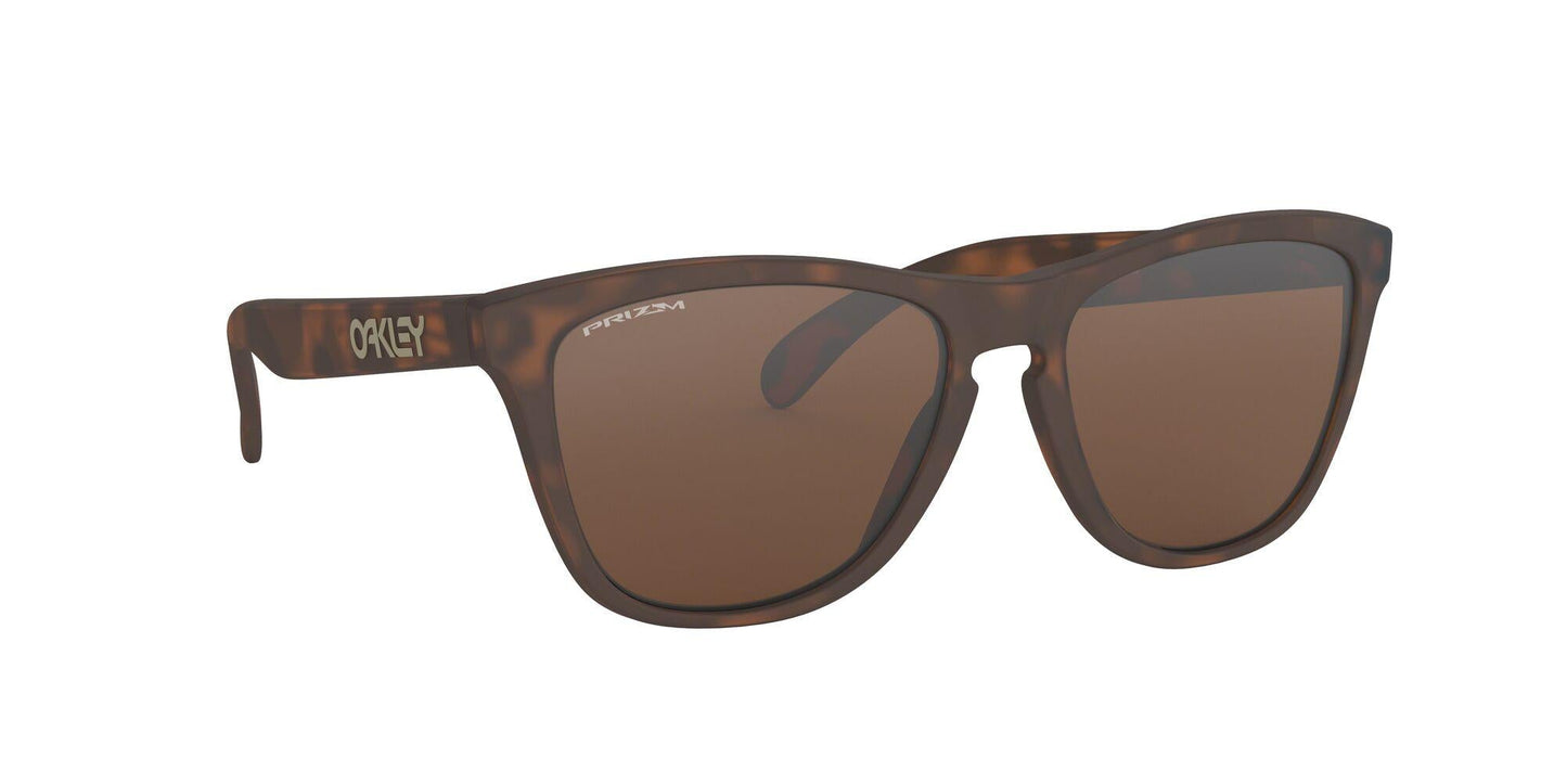 Oaakley Frogskins 9013 Sunglasses