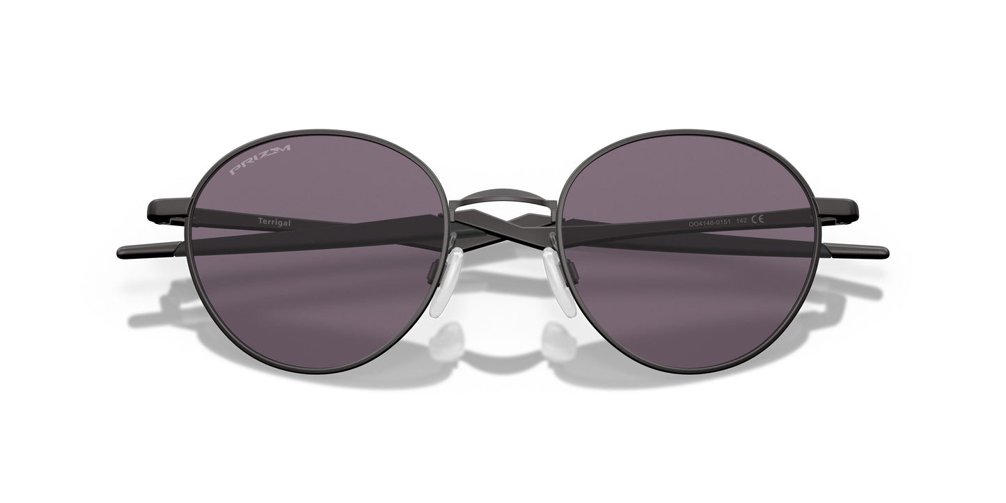Oaakley Terrigal 4146 Sunglasses