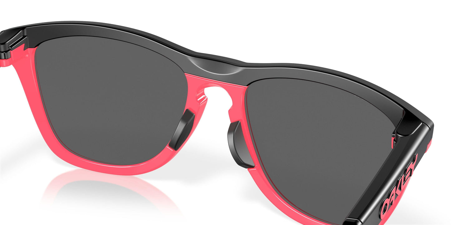 Oaakley Frogskins Hybrid 9289 Sunglasses