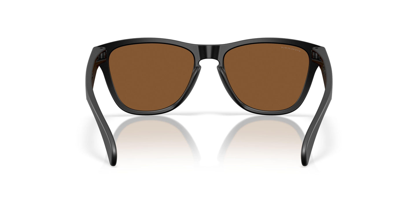 Oaakley Frogskins S 9508 Sunglasses