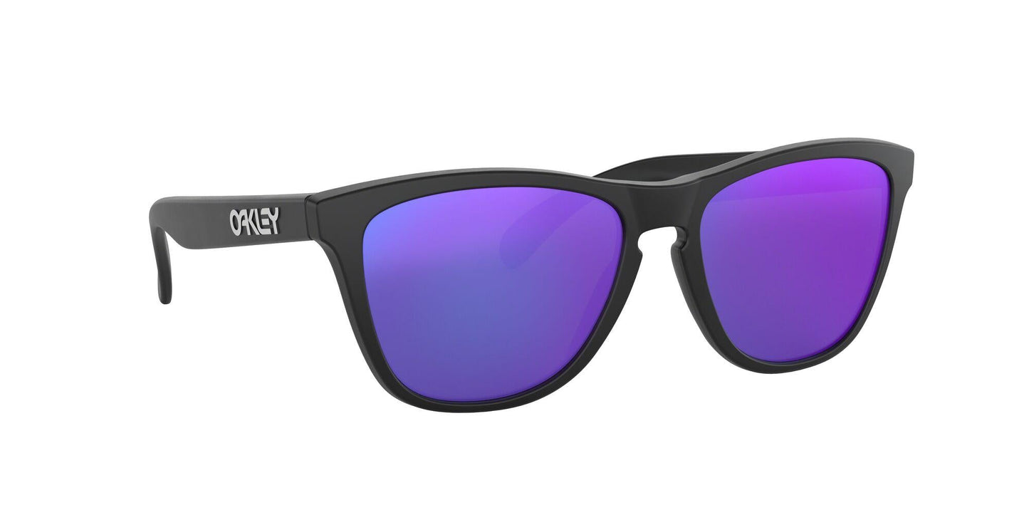 Oaakley Frogskins 9013 Sunglasses