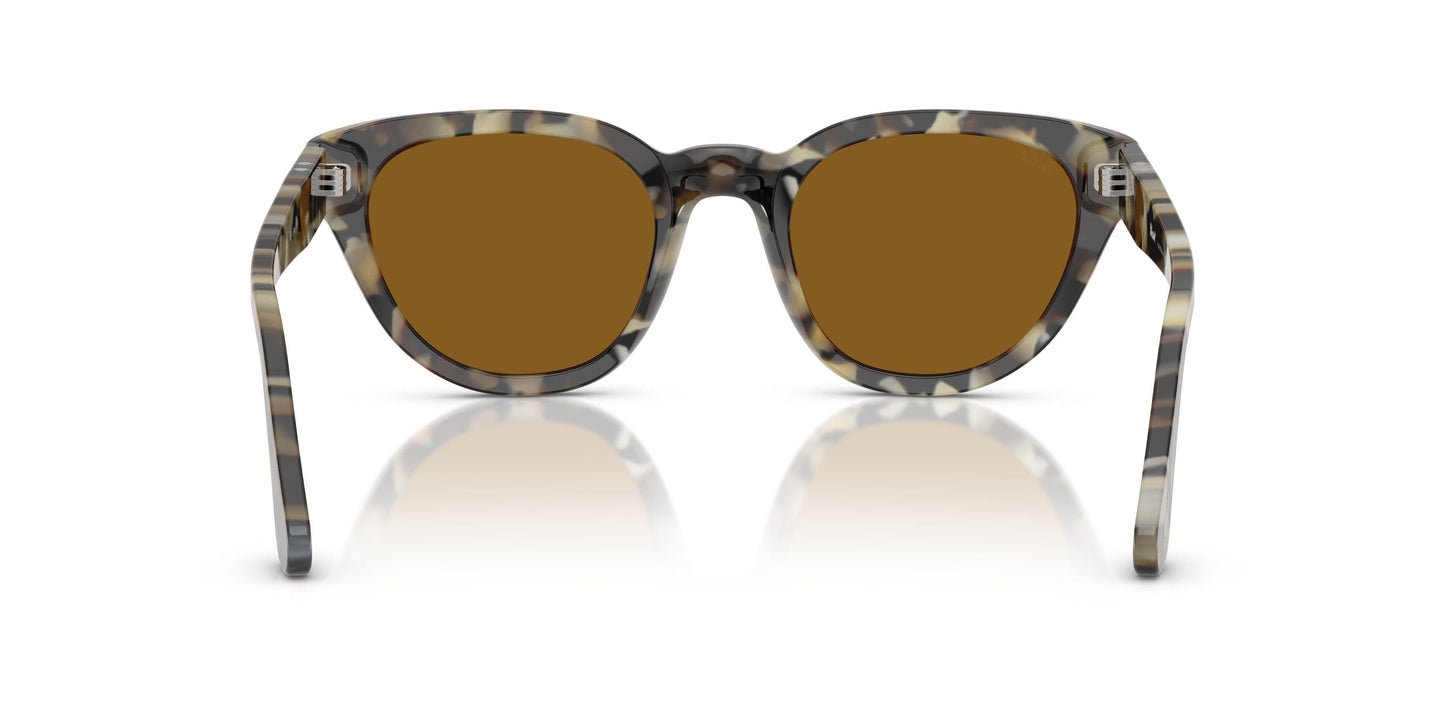 Persol 3379S Sunglasses