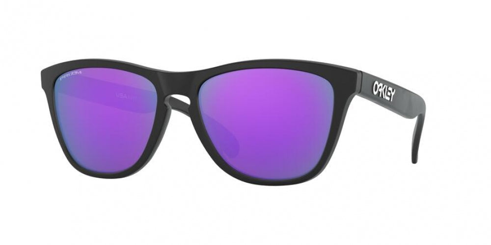 Oaakley Frogskins 9013 Sunglasses