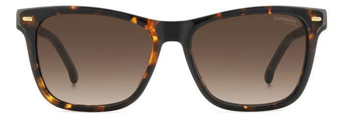 Carreera 3001 Sunglasses