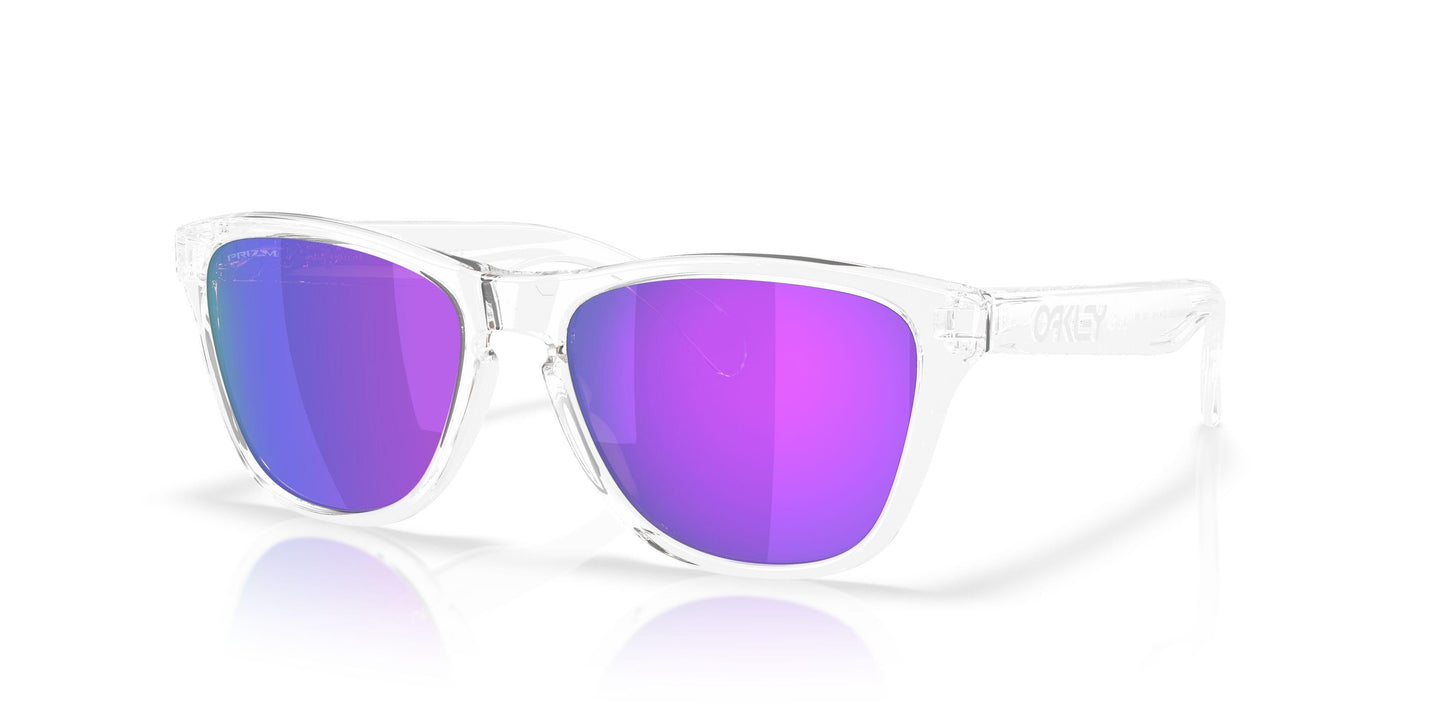 Oaakley Frogskins S 9508 Sunglasses