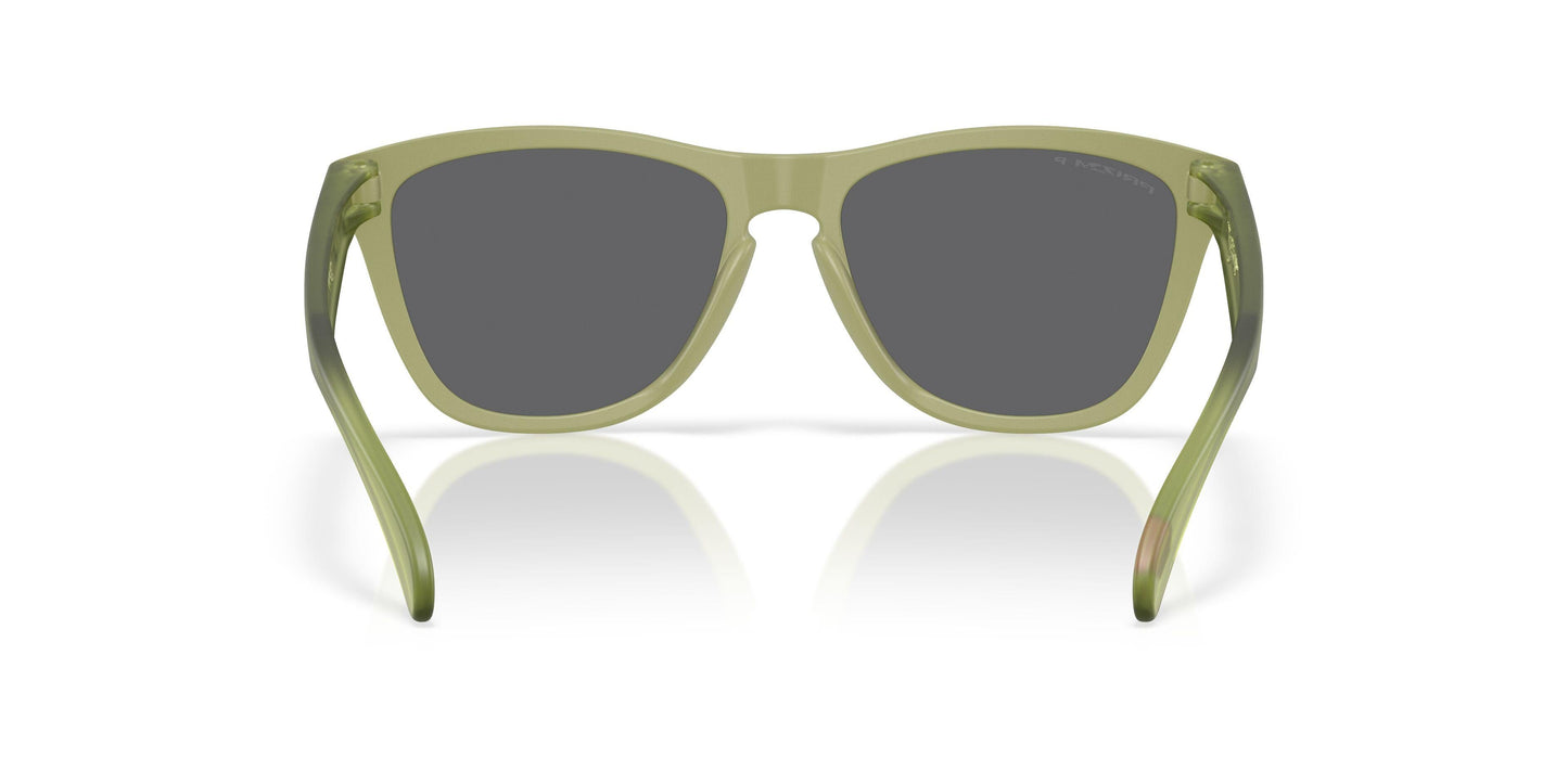 Oaakley Frogskins 9245 Sunglasses