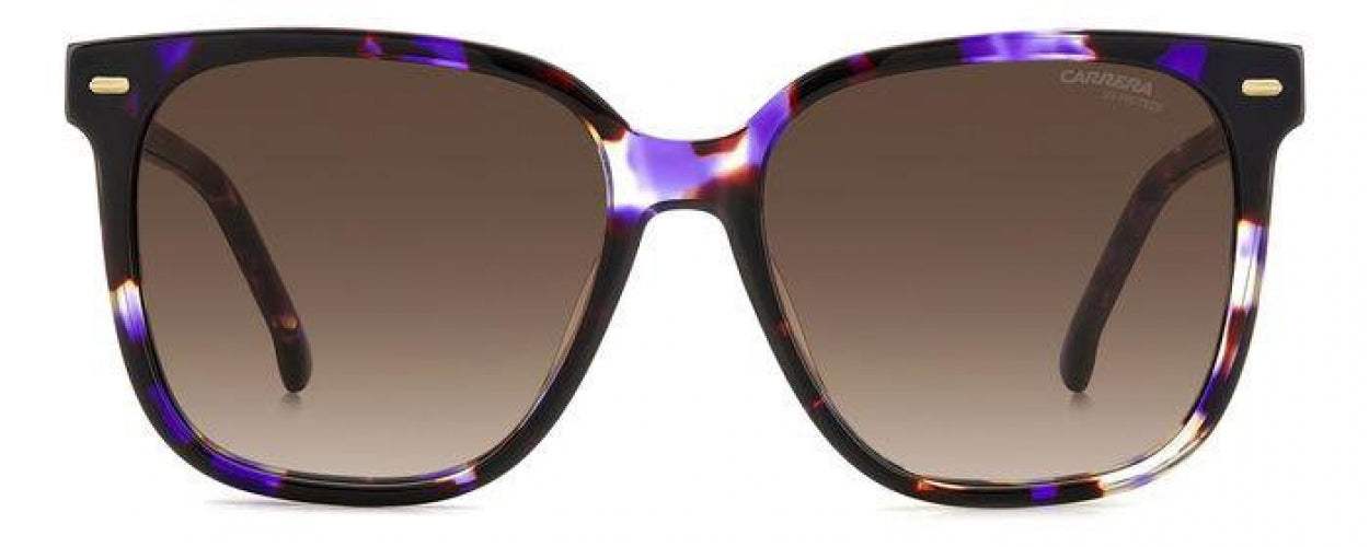 Carreera 3002 Sunglasses