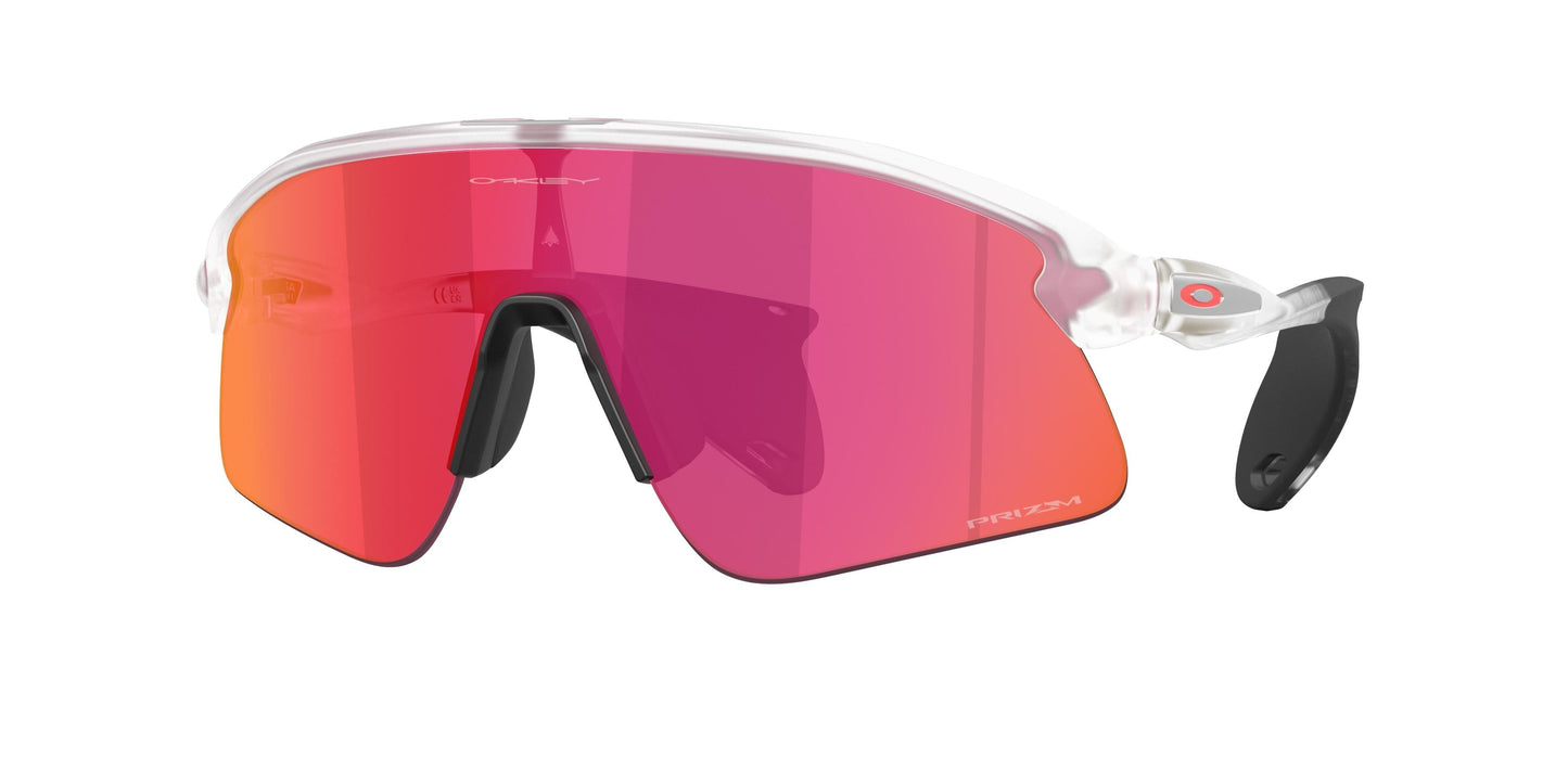 Oaakley Stunt Devil 9517 Sunglasses