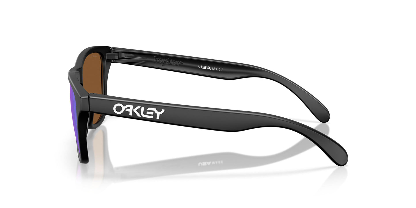 Oaakley Frogskins S 9508 Sunglasses