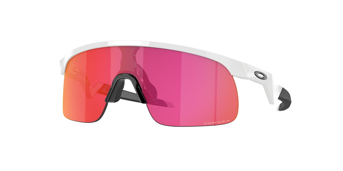 Oaakley Resistor 9010 Sunglasses