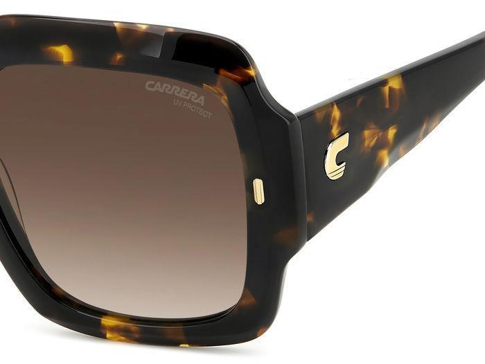 Carreera 3004 Sunglasses
