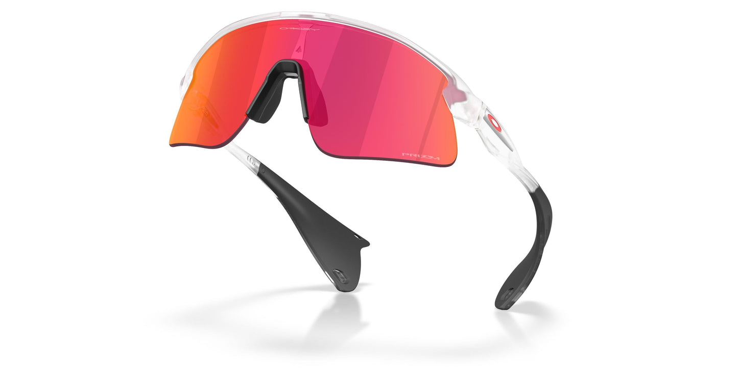 Oaakley Stunt Devil 9517 Sunglasses