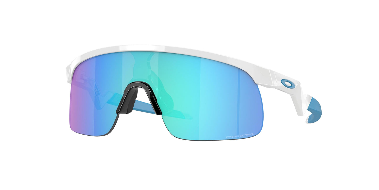 Oaakley Resistor 9010 Sunglasses