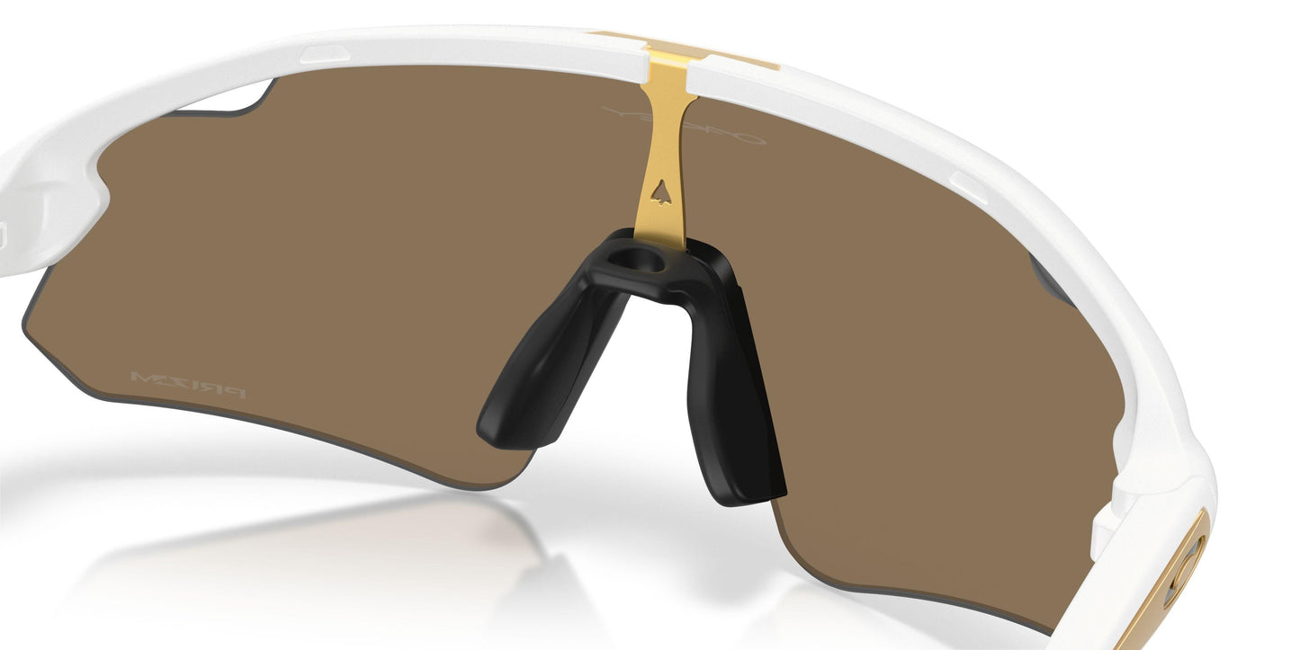 Oaakley Stunt Devil A 9525 Sunglasses