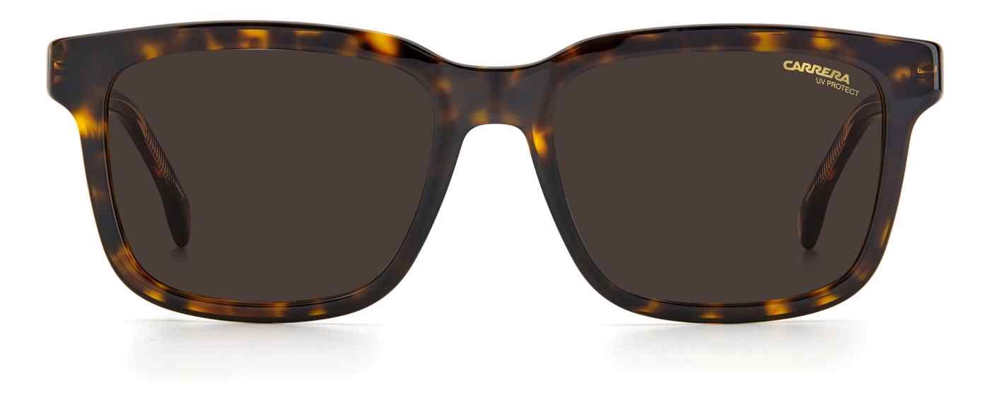 Carreera 251 Sunglasses