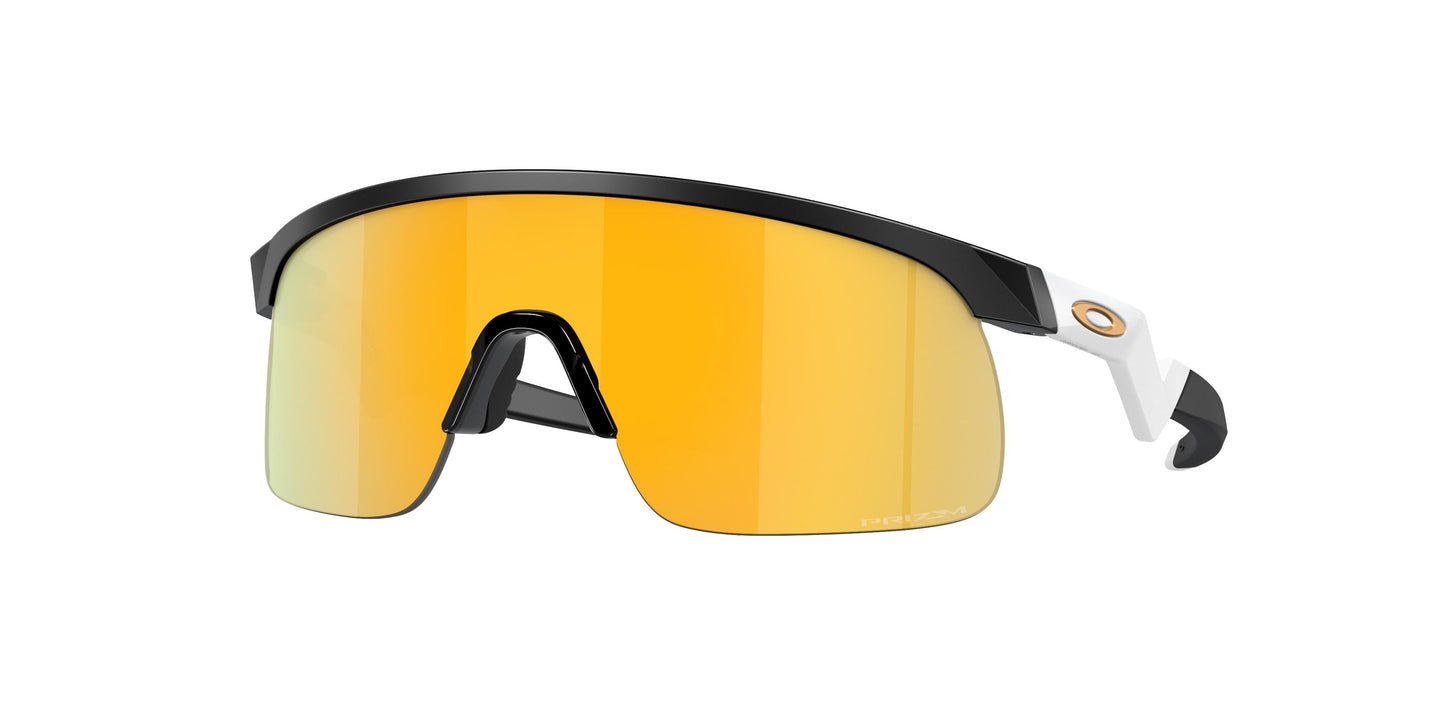 Oaakley Resistor 9010 Sunglasses
