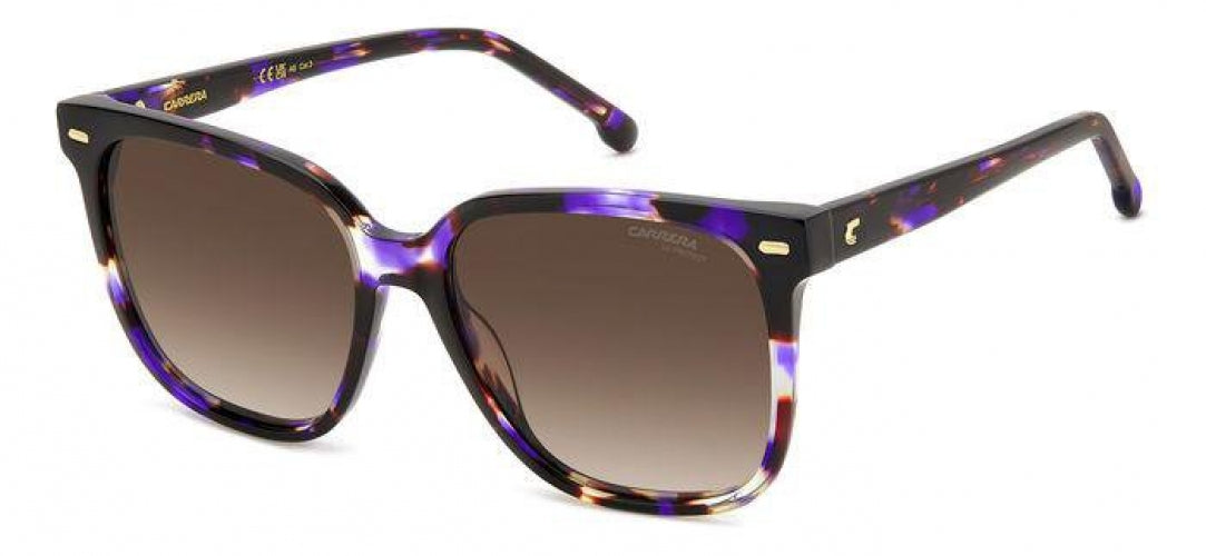 Carreera 3002 Sunglasses