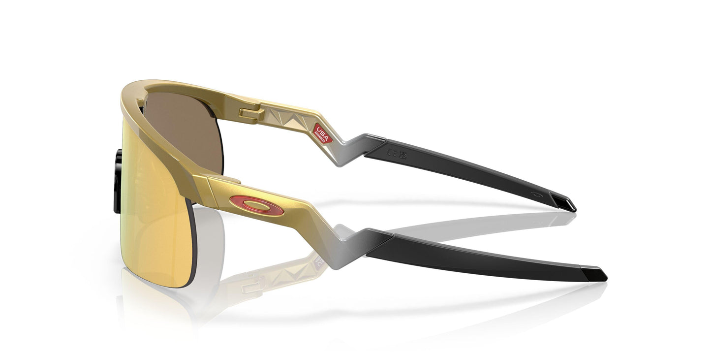 Oaakley Resistor 9010 Sunglasses
