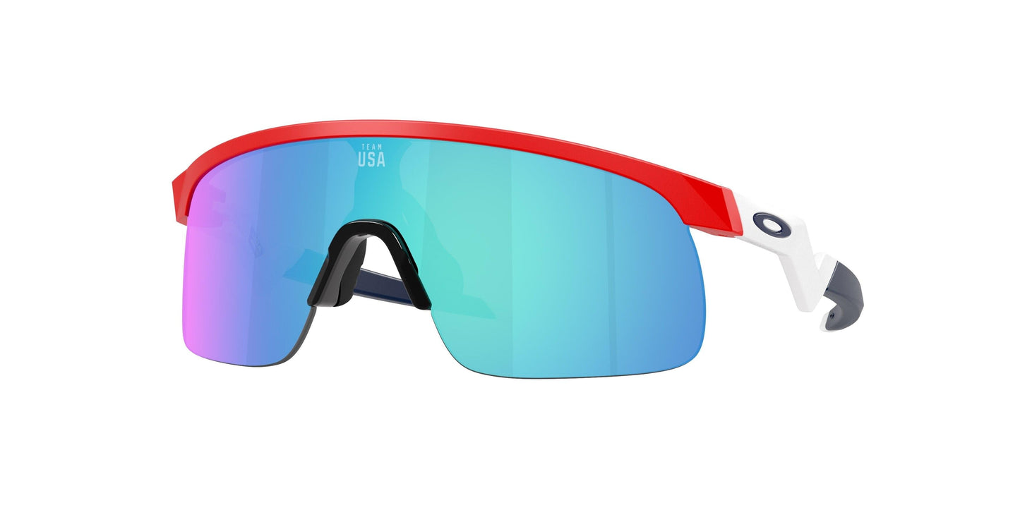 Oaakley Resistor 9010 Sunglasses