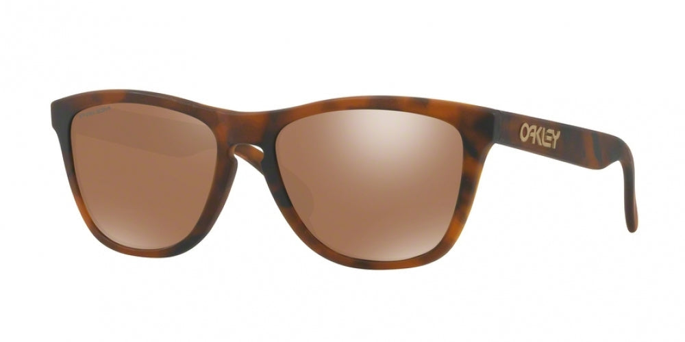 Oaakley Frogskins 9013 Sunglasses