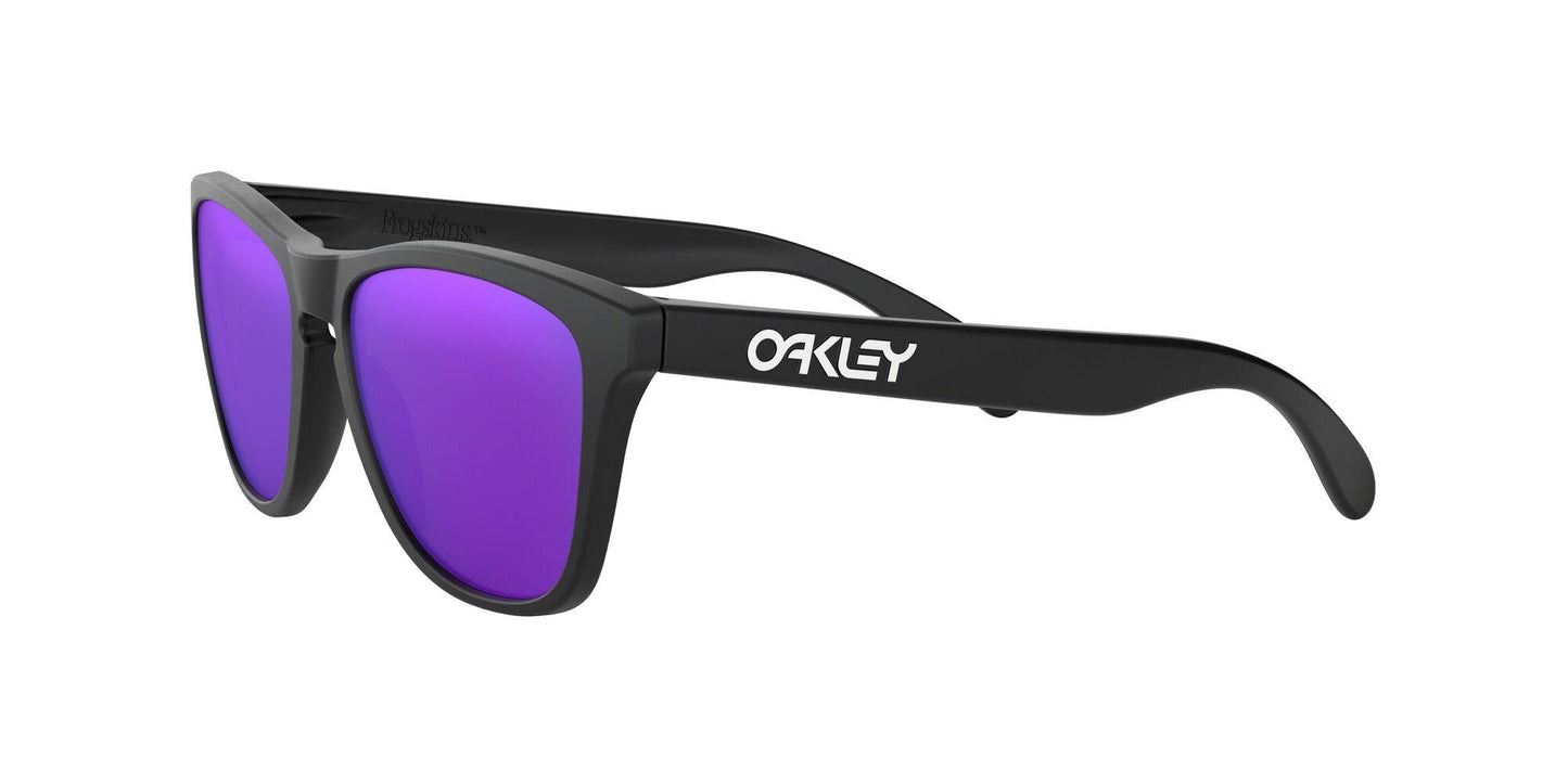 Oaakley Frogskins 9013 Sunglasses