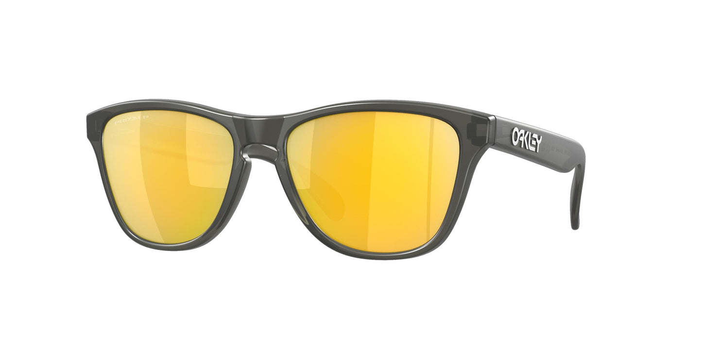 Oaakley Frogskins Xs 9006 Sunglasses