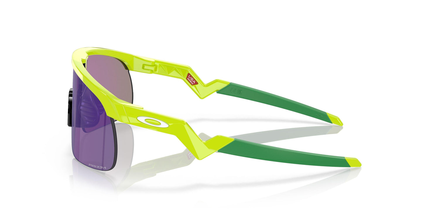 Oaakley Resistor 9010 Sunglasses
