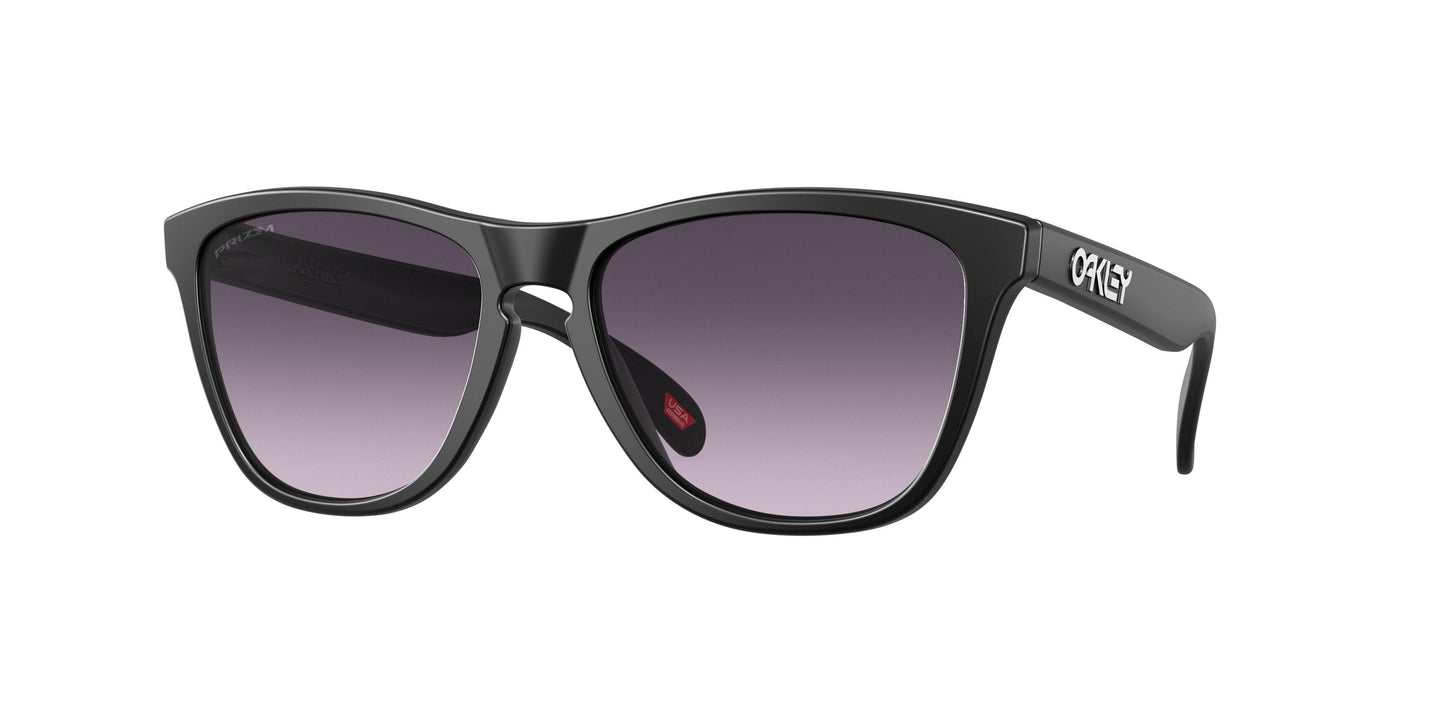 Oaakley Frogskins 9245 Sunglasses