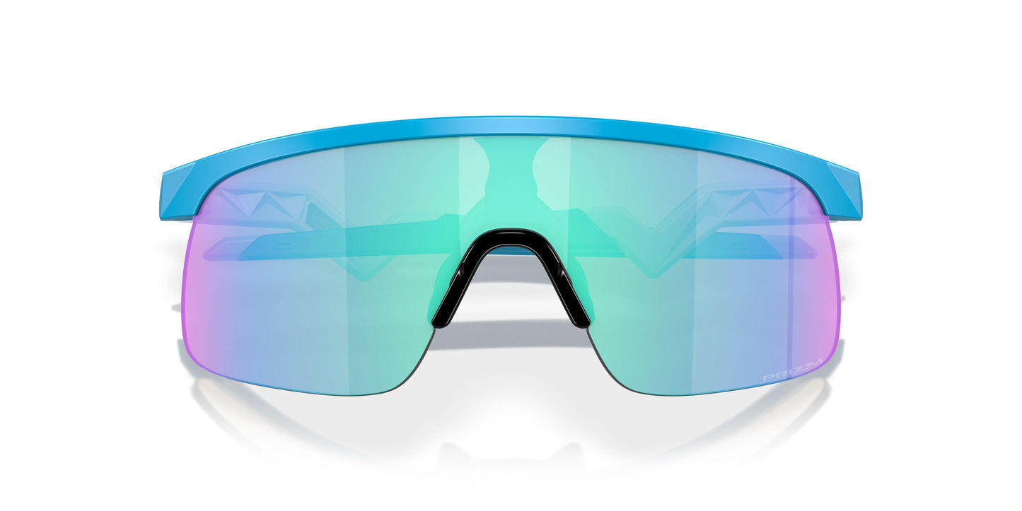 Oaakley Resistor 9010 Sunglasses