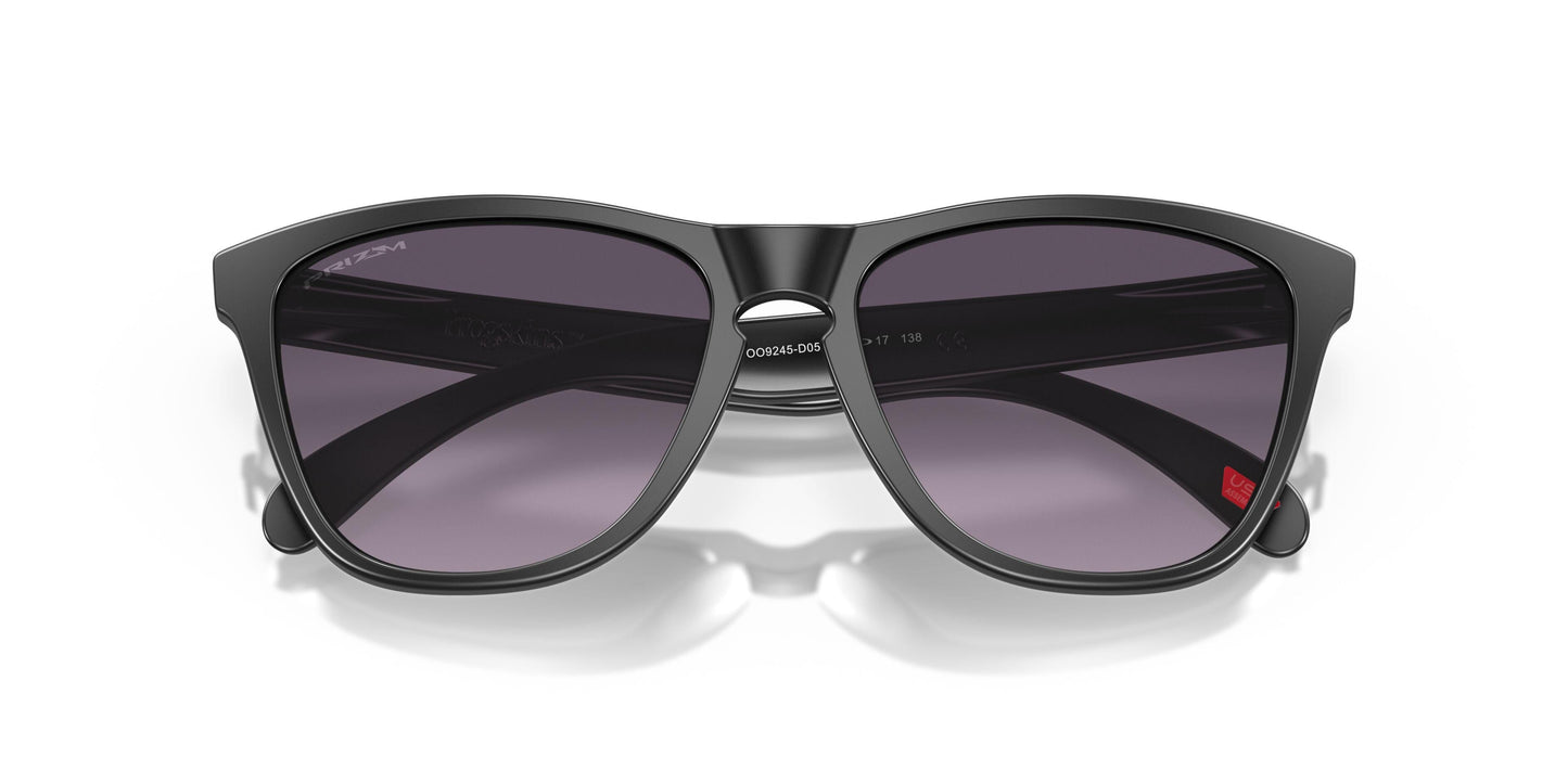 Oaakley Frogskins 9245 Sunglasses