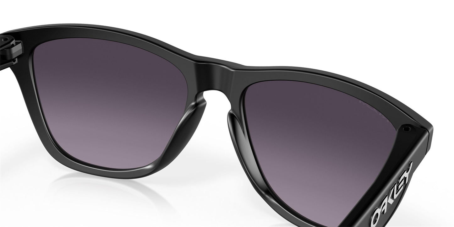 Oaakley Frogskins 9245 Sunglasses