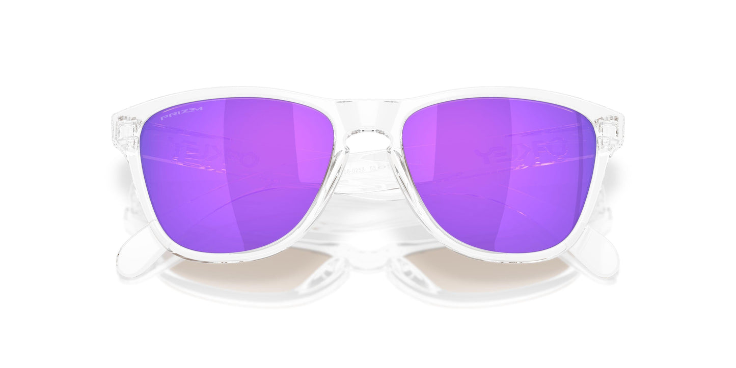 Oaakley Frogskins S 9508 Sunglasses