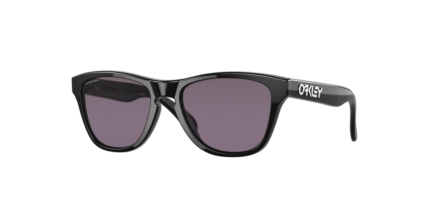 Oaakley Frogskins Xxs 9009 Sunglasses