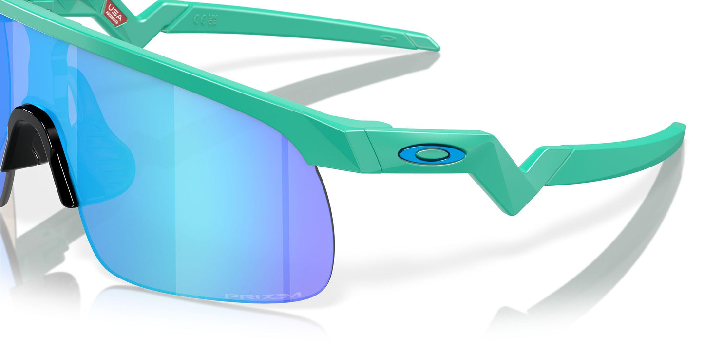 Oaakley Resistor 9010 Sunglasses