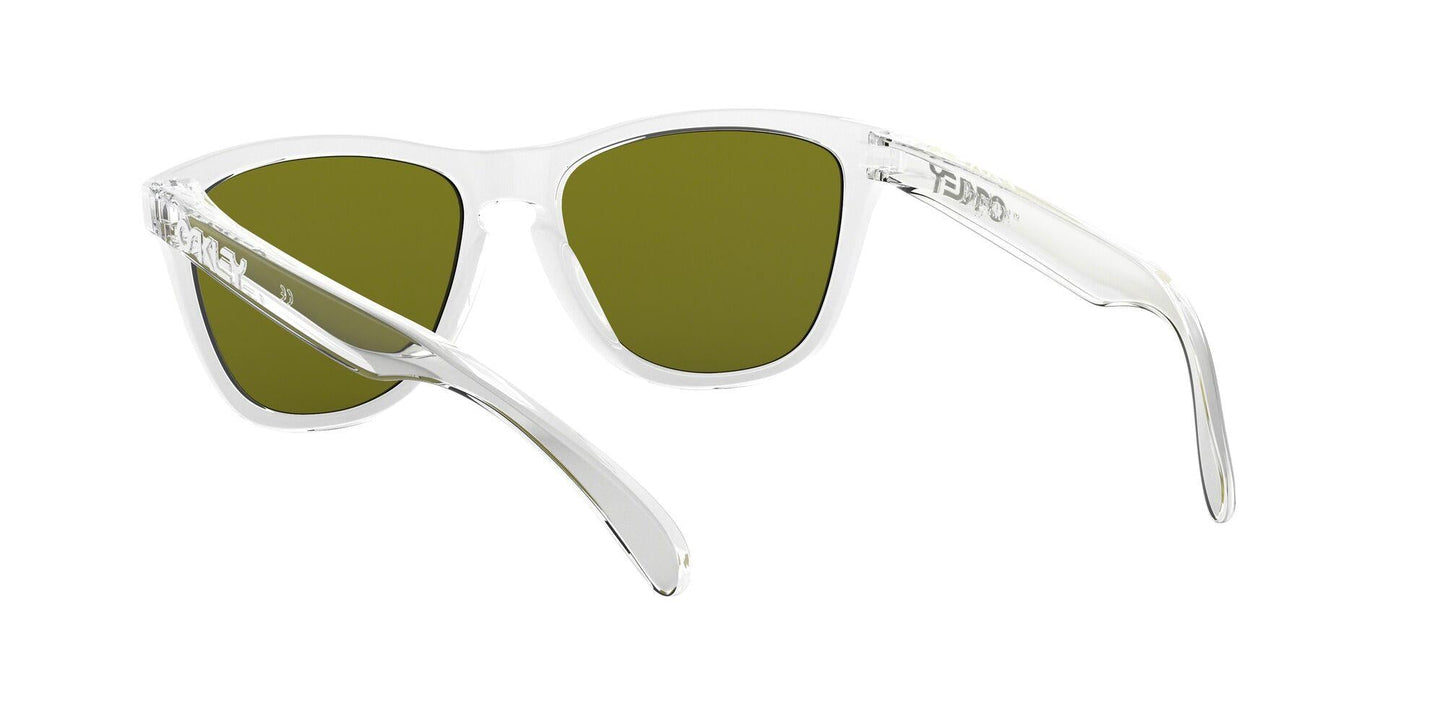 Oaakley Frogskins 9013 Sunglasses