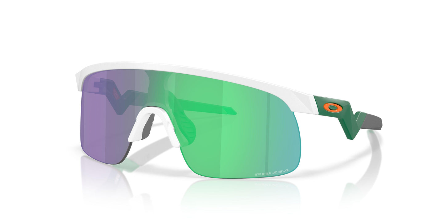 Oaakley Resistor 9010 Sunglasses