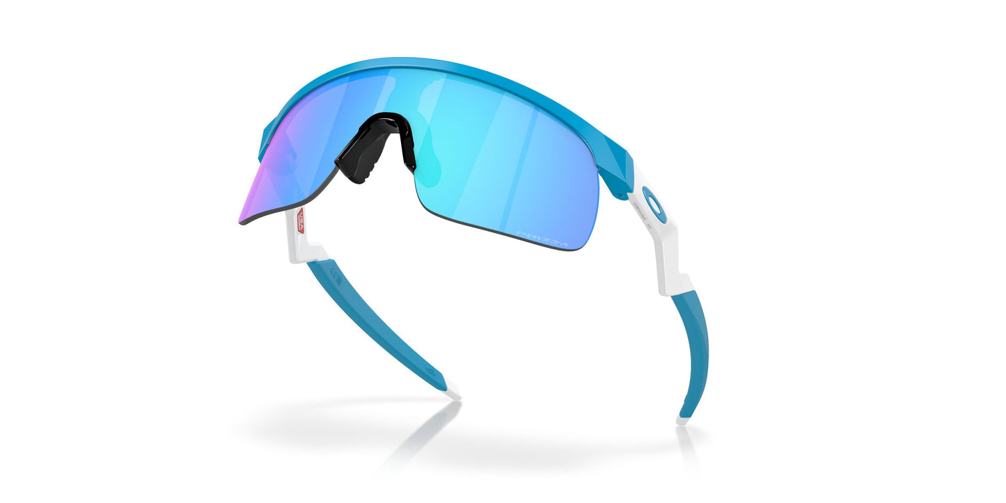 Oaakley Resistor 9010 Sunglasses
