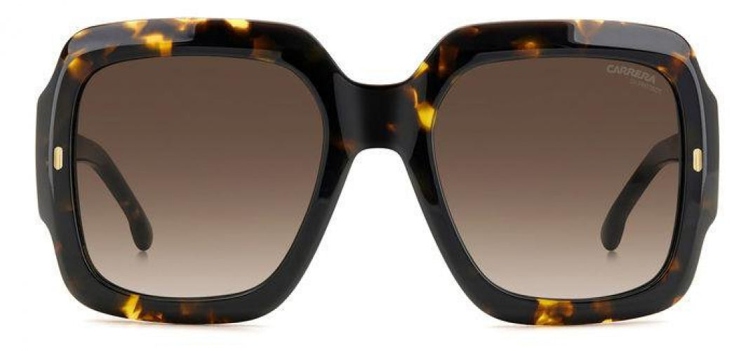 Carreera 3004 Sunglasses