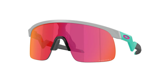 Oaakley Resistor 9010 Sunglasses
