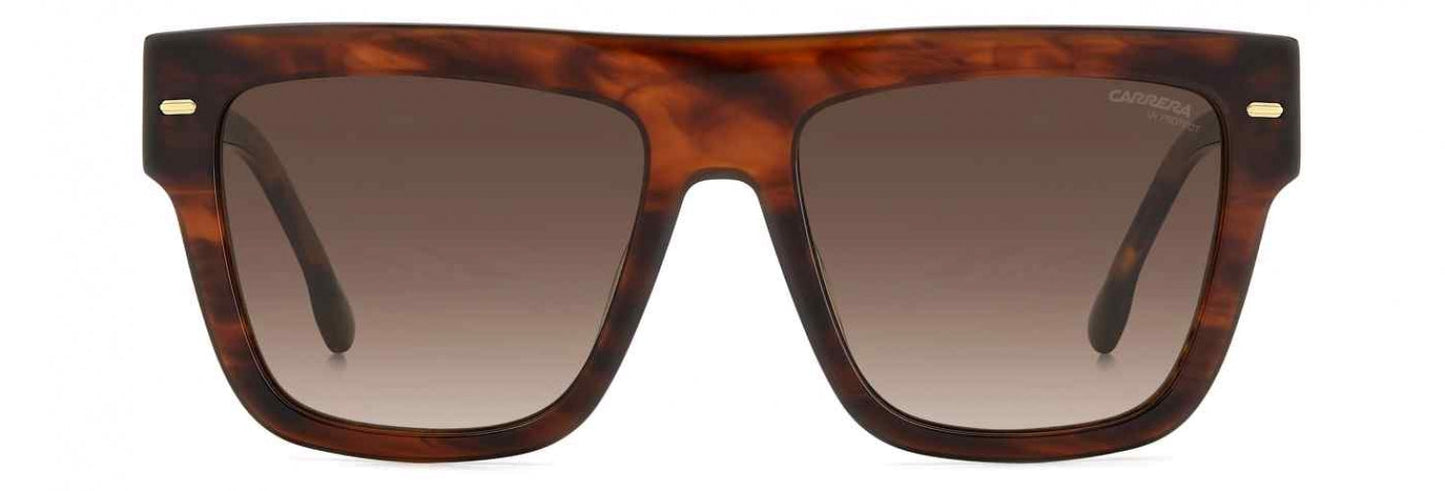 Carreera 3016 Sunglasses