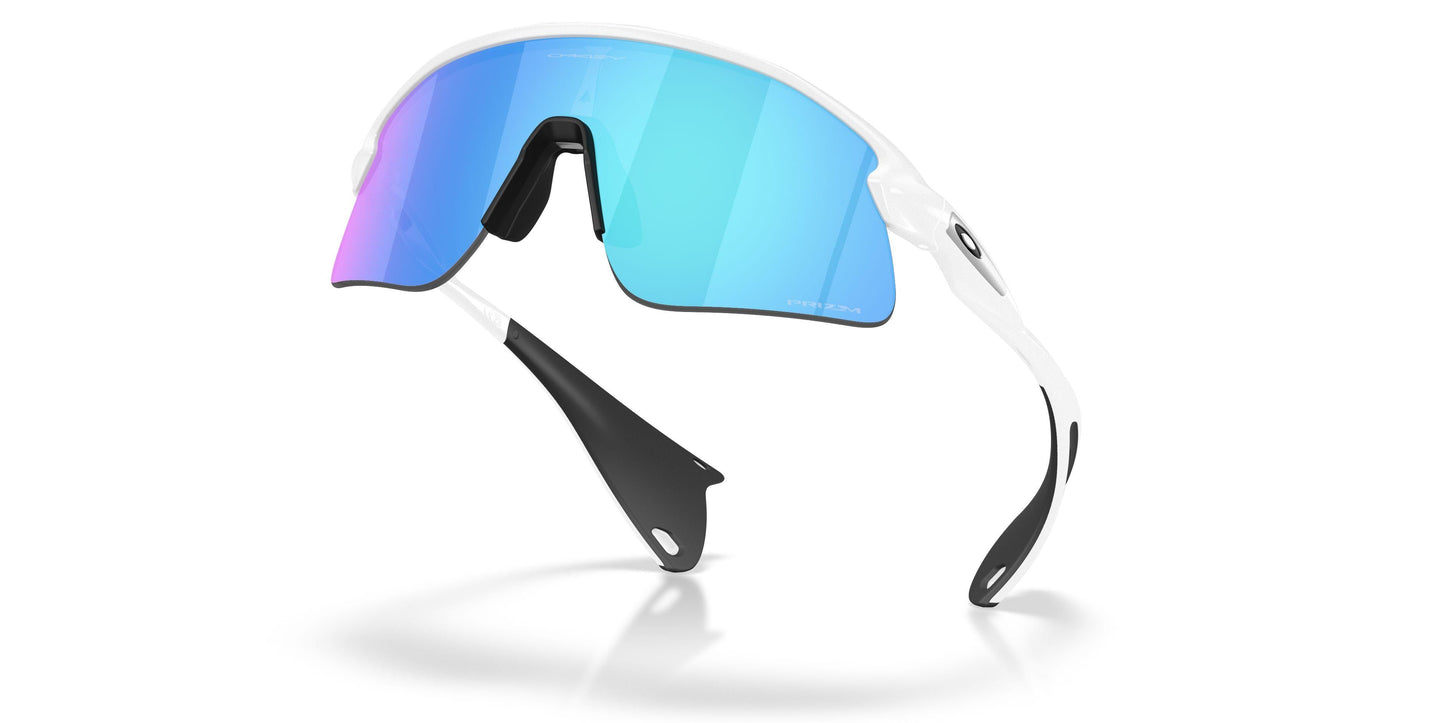 Oaakley Stunt Devil 9517 Sunglasses