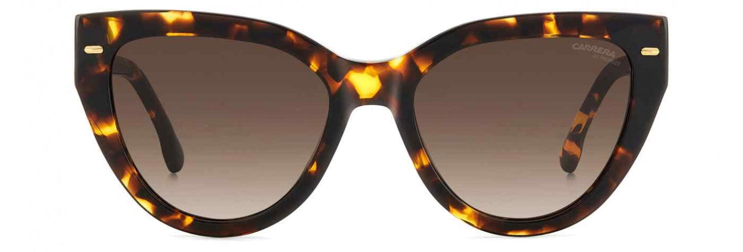 Carreera 3017 Sunglasses