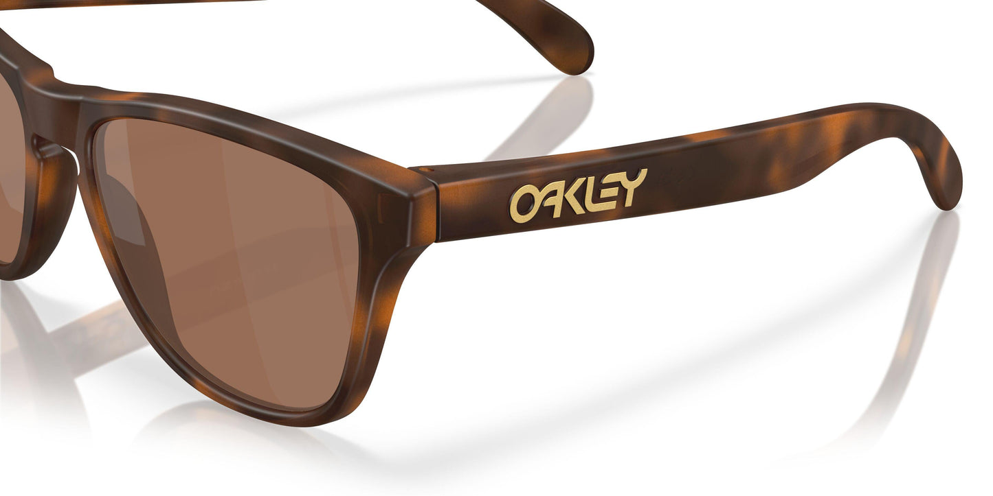 Oaakley Frogskins S 9508 Sunglasses