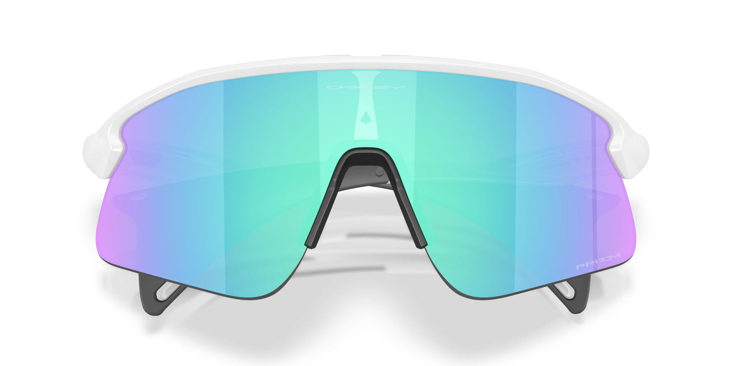 Oaakley Stunt Devil 9517 Sunglasses