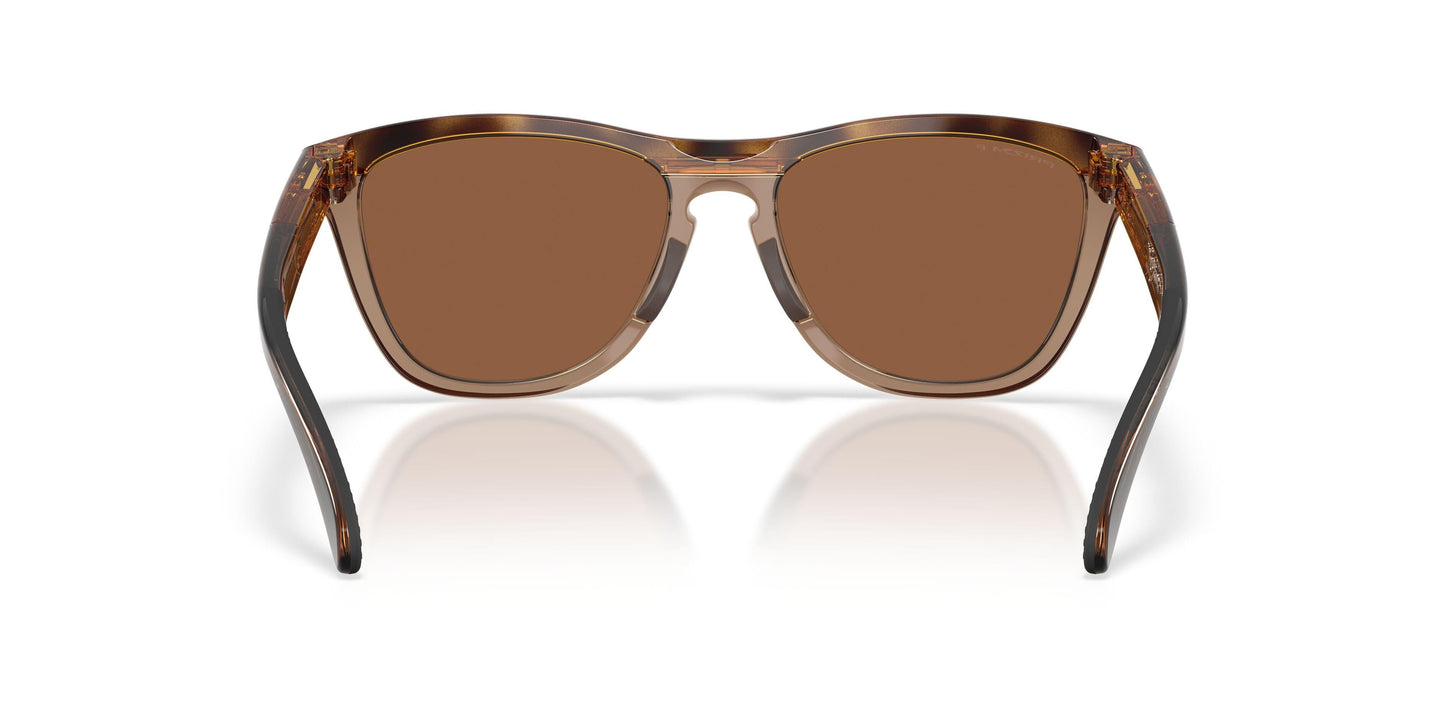 Oaakley Frogskins Range Xl A 9503A Sunglasses